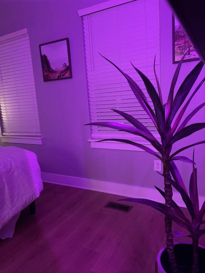 Classy, Cozy, Close To Downtown Nashville Bagian luar foto